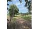 Dirt road leading through fenced property with mature trees at 6020 Nw 2Nd Ave, Ocala, FL 34475