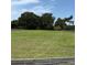 Expansive grassy lot bordered by a dark wood fence and mature trees defines the landscape at 6020 Nw 2Nd Ave, Ocala, FL 34475