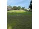 Wide, green field bordered with mature trees and dark wood fence defines this property's expansive landscape at 6020 Nw 2Nd Ave, Ocala, FL 34475