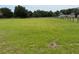 Expansive green field with fencing, perfect for agricultural use or recreation at 6020 Nw 2Nd Ave, Ocala, FL 34475