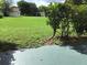 Large grassy backyard with beautiful green trees and plenty of space for outdoor activities at 9224 Sw 91St Cir, Ocala, FL 34481