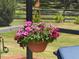 Outdoor flower basket at 35 Lake Wood Cir, Ocala, FL 34482
