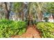 Rear exterior featuring lush landscaping, a well-manicured lawn, and mature palm tree at 11427 Sw 82Nd Ave, Ocala, FL 34481