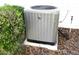 Outdoor AC unit on a concrete slab surrounded by mulch and green foliage at 11495 Sw 138Th Ln, Dunnellon, FL 34432