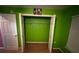 Bright bedroom featuring green walls, closet, and a white door at 15115 Se 94Th Ct, Summerfield, FL 34491