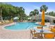 Resort-style community pool area with lounge chairs, tables, and lush tropical landscaping for relaxation and recreation at 17645 Se 117Th Cir, Summerfield, FL 34491