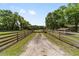 Long driveway leading to a gated property featuring beautiful landscaping and mature trees at 2720 Se 145Th St, Summerfield, FL 34491