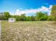 Sprawling backyard with storage shed surrounded by lush greenery under a bright blue sky at 2800 Sw 141St Ct, Ocala, FL 34481