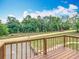 Backyard view from the deck showcasing natural surroundings and clear blue sky at 2800 Sw 141St Ct, Ocala, FL 34481