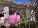 Close up of pink flowers in the landscape next to the home at 9579 Sw 195 Cir, Dunnellon, FL 34432