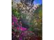 Pathway through lush gardens with colorful pink and red flowering bushes at 9579 Sw 195 Cir, Dunnellon, FL 34432
