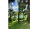 Picturesque river view showing a grassy back yard with shade trees, and sparkling water perfect for boating or kayaking at 9579 Sw 195 Cir, Dunnellon, FL 34432