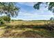 Scenic view of backyard featuring lush greenery and a pond at 10060 Se 106Th Ln, Belleview, FL 34420