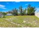 Large backyard with new grass and lush greenery with a clear blue sky at 4780 Sw 103Rd Street Rd, Ocala, FL 34476