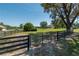 Yard view with black fence at 5363 Nw 153Rd Ct, Morriston, FL 32668