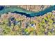 An aerial view of houses nestled among lush greenery near a crystal-clear river at 8221 Sw 217 Ct, Dunnellon, FL 34431