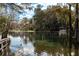Scenic view of a calm lake with trees and dock at 8221 Sw 217 Ct, Dunnellon, FL 34431