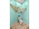 Compact and well-maintained toilet area with unique coastal-themed decoration, and a toilet paper holder at 8221 Sw 217 Ct, Dunnellon, FL 34431