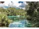Scenic view of a river and a small boat surrounded by trees and foliage at 8221 Sw 217 Ct, Dunnellon, FL 34431