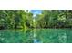 Serene waterfront view of clear turquoise water surrounded by lush greenery and towering trees at 8221 Sw 217 Ct, Dunnellon, FL 34431