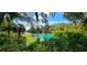 Picturesque waterfront featuring lush vegetation and tranquil turquoise water, perfect for nature enthusiasts at 8221 Sw 217 Ct, Dunnellon, FL 34431