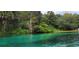 Scenic waterfront with clear turquoise water surrounded by tropical vegetation, offering a serene view at 8221 Sw 217 Ct, Dunnellon, FL 34431