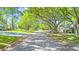 Scenic street view lined with mature trees, sidewalks, and well-maintained homes on a sunny day at 8851 Sw 97Th St # A, Ocala, FL 34481