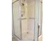 Modern walk-in shower with a detachable shower head and grab bars at 14244 Sw 115Th Cir, Dunnellon, FL 34432