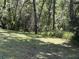 Lush backyard showcasing the natural beauty of the surrounding trees at 18956 Sw 93Rd Loop, Dunnellon, FL 34432