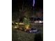 Night view of the front yard with landscaping lights and American flag at 19939 Sw 96Th Pl, Dunnellon, FL 34432