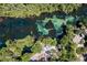 High-angle view of a winding river with clear springs, nestled among lush greenery and houses at 21884 Sw 88Th Lane Rd, Dunnellon, FL 34431