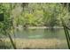 Serene river view with lush greenery and clear water, showcasing the natural beauty of the surroundings at 21884 Sw 88Th Lane Rd, Dunnellon, FL 34431