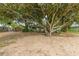 Large trees create a welcoming canopy to this waterfront property at 31 Se Chinica Dr, Summerfield, FL 34491