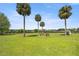 Expansive backyard with towering palm trees and cozy firepit seating area at 5415 Nw 100Th St, Ocala, FL 34482