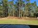 Spacious backyard with lush green grass surrounded by tall trees, offering privacy and shade at 6101 Sw 206Th Ave, Dunnellon, FL 34431