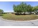 Well maintained front yard with a mature tree at 9541 Sw 93Rd Loop, Ocala, FL 34481