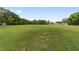 Backyard featuring a large grassy field with surrounding mature trees at 10575 Sw 27Th Ave, Ocala, FL 34476
