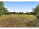 A large grassy field stretches out in front of some trees, offering various outdoor recreational opportunities at 10575 Sw 27Th Ave, Ocala, FL 34476