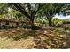 A spacious backyard under the shade of mature trees, perfect for outdoor activities and relaxation at 2161 Ne 38Th St, Ocala, FL 34479