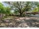 Spacious backyard with lush trees and a well-maintained fence at 2161 Ne 38Th St, Ocala, FL 34479
