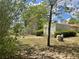 Large backyard with trees and landscaping at 2730 Sw 173Rd Place Rd, Ocala, FL 34473