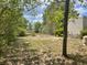 View of a large backyard featuring trees and lush greenery at 2730 Sw 173Rd Place Rd, Ocala, FL 34473