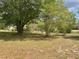 Landscaped backyard with mature trees and green foliage at 2730 Sw 173Rd Place Rd, Ocala, FL 34473
