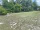 A spacious yard with green grass and a sprinkler system at 2730 Sw 173Rd Place Rd, Ocala, FL 34473