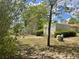 View of a wooded lot with a shed and a large green tank at 2730 Sw 173Rd Place Rd, Ocala, FL 34473