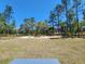 Large lot showcasing the natural surroundings and the potential for landscaping at 441 Nw Buena Vista Rd, Dunnellon, FL 34431