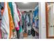 Well-organized walk-in closet with rods and shelves for optimal clothing and accessory storage, enhanced functionality at 6127 Sw 84Th Place Rd, Ocala, FL 34476