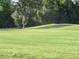 Lush green golf course with mature trees providing shade and beauty at 8132 Fairways Cir # R103, Ocala, FL 34472