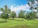Beautiful lawn with mature trees, offering a peaceful and private outdoor setting at 9740 Sw 68Th Ln, Ocala, FL 34481
