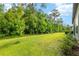 Large backyard featuring lush green grass and a backdrop of mature trees at 1119 Se 42Nd Rd, Ocala, FL 34480